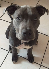 zeus